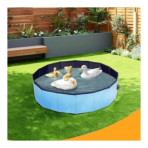  Juome Foldable Duck Swimming Pool, Portable Pond Pool for Ducks, Collapsible Hard Plastic Swimming Pool for Pets Dogs and Cats for Indoor and Outdoor