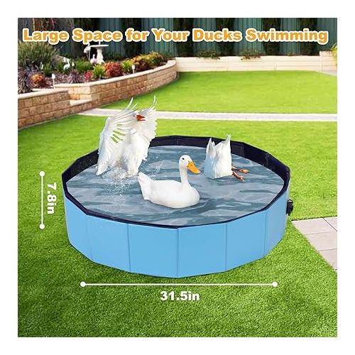  Juome Foldable Duck Swimming Pool, Portable Pond Pool for Ducks, Collapsible Hard Plastic Swimming Pool for Pets Dogs and Cats for Indoor and Outdoor