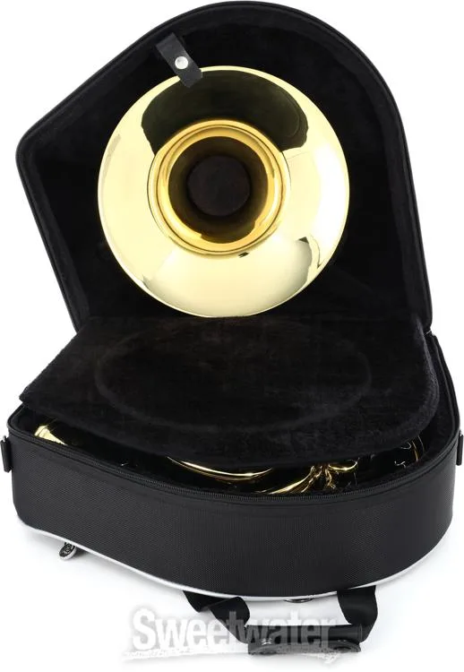  Jupiter JHR1110D Intermediate Double French Horn with String Linkage and Detachable Bell - Clear Lacquer