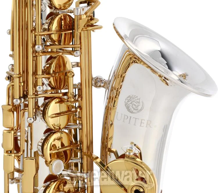  Jupiter JAS1100SG Alto Saxophone - Silver Plated with Gold Lacquer Keys