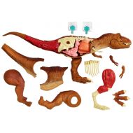 Jurassic World Toys Jurassic World Stem Tyrannosaurus Rex Anatomy Kit