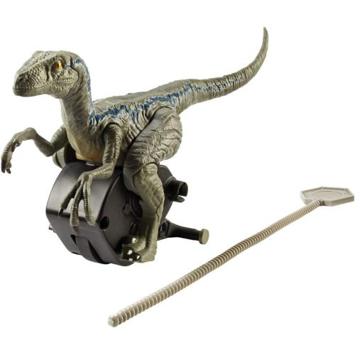 디즈니 Jurassic World Toys JURASSIC WORLD RIP-RUN DINOS Velociraptor Blue