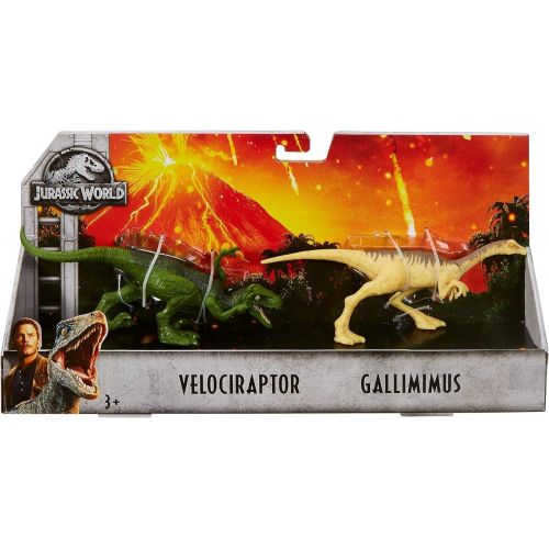  Jurassic World Toys Jurassic World Dino Velociraptor & Gallimimus Figures, 2 Pack