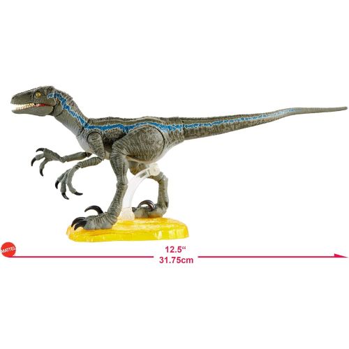  Jurassic World Toys World Velociraptor Blue Action Figure, Multi, Model:GJN93