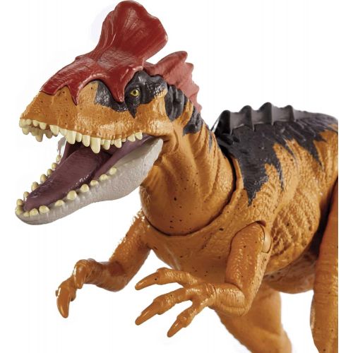  Jurassic World Toys Jurassic World Sound Strike Dinosaur Action Figure, Cryolophodaurus