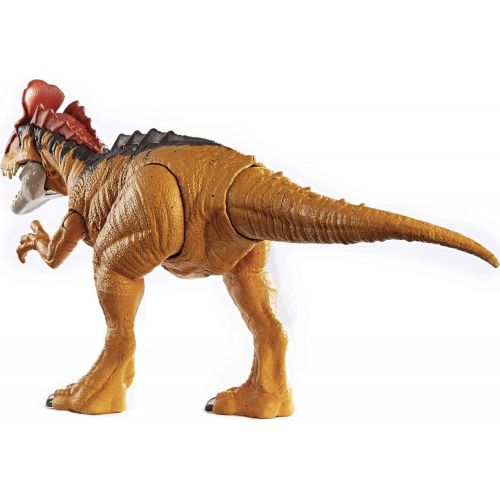  Jurassic World Toys Jurassic World Sound Strike Dinosaur Action Figure, Cryolophodaurus