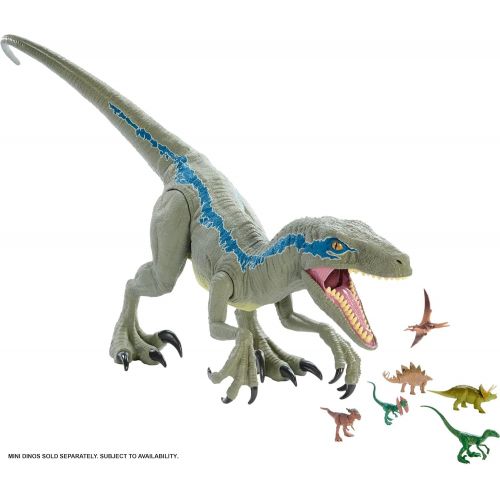  Jurassic World Toys JURASSIC WORLD SUPER COLOSSAL VELOCIRAPTOR BLUE