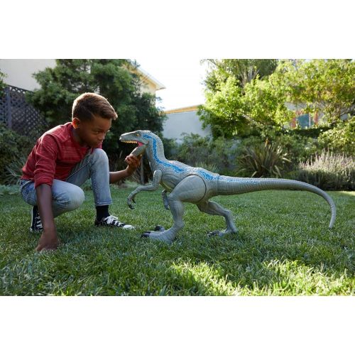  Jurassic World Toys JURASSIC WORLD SUPER COLOSSAL VELOCIRAPTOR BLUE