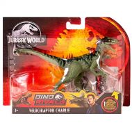 Jurassic World Toys Jurassic World Attack Pack Velociraptor Charlie