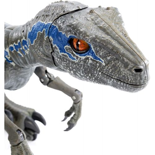  Jurassic World Toys Alpha Training BlueGray