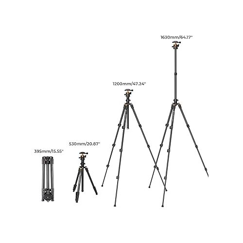  K&F Concept 64 inch/163cm Camera Tripod,Lightweight Travel Outdoor DSLR Tripods with 360 Degree Ball Head Load Capacity 8kg/17.6lbs,Cellphone Clip for Smartphone Live Streaming Vlog K234A0+BH-28L