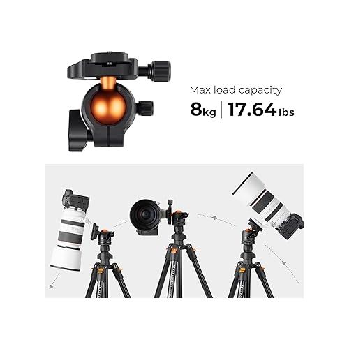  K&F Concept 64 inch/163cm Camera Tripod,Lightweight Travel Outdoor DSLR Tripods with 360 Degree Ball Head Load Capacity 8kg/17.6lbs,Cellphone Clip for Smartphone Live Streaming Vlog K234A0+BH-28L