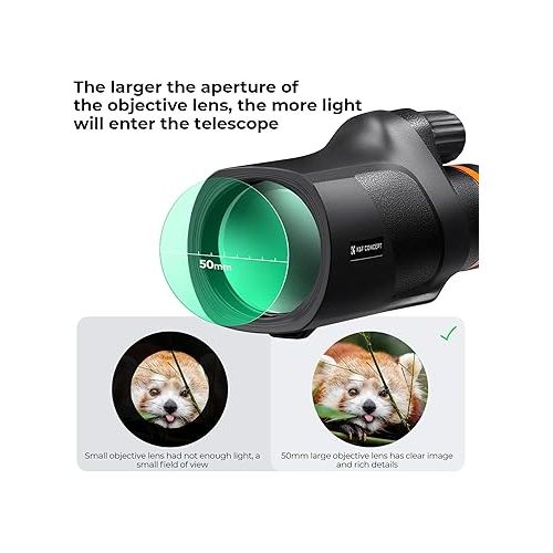  K&F Concept® 80x100 Monocular-Telescope for Adults, High Powered with Smartphone Adapter & Tripod, with BAK4 Prism and FMC Lens, for for Bird Watching Hunting Hiking Camping Travelling