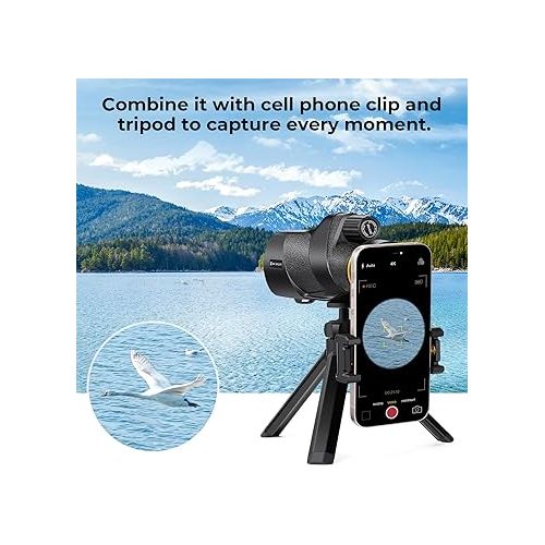  K&F Concept® 80x100 Monocular-Telescope for Adults, High Powered with Smartphone Adapter & Tripod, with BAK4 Prism and FMC Lens, for for Bird Watching Hunting Hiking Camping Travelling
