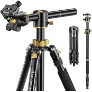 K&F Concept 67 inch Camera Tripod Horizontal Aluminum Tripods Portable Monopod with 32mm Ball Head 12KG Load Capacity Quick Release Plate, for Travel and Work T255A4+BH-32L(Golden)