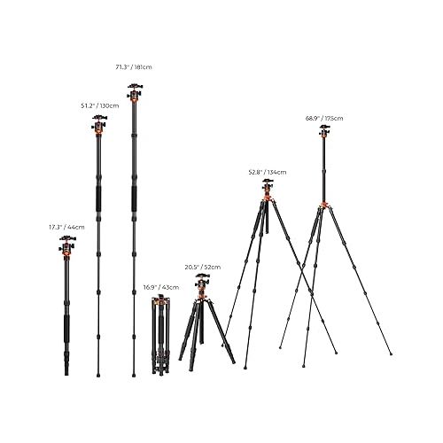  K&F Concept 68 inch /175cm Camera Tripods,Compact Travel Tripod with Monopod,10kg/22lbs Load Capacity 360° Panorama Ball Head Compatible with DSLR Cameras K255A4+BH-28L (TM2515M1)