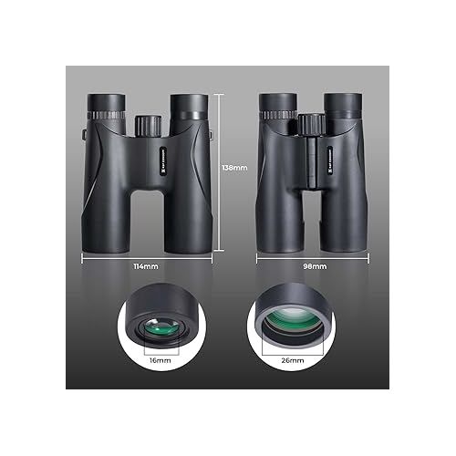  K&F Concept 12x32 Compact Binoculars for Kids and Adults, with BAK4 Prism, FMC Lens, IP65 Waterproof & Neck Strap for Bird Watching Hunting Travel Camping Stargazing