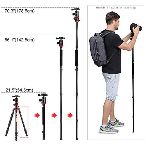  [아마존베스트]Carbon Tripod K&F Concept Tripod Camera, Carbon Fibre Tripod, Travel Tripod, Tripod With 3D Ball Head, Quick Release Plate And Mono-Pod Function For Canon, Nikon, Sony