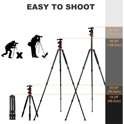  [아마존베스트]Carbon Tripod K&F Concept Tripod Camera, Carbon Fibre Tripod, Travel Tripod, Tripod With 3D Ball Head, Quick Release Plate And Mono-Pod Function For Canon, Nikon, Sony