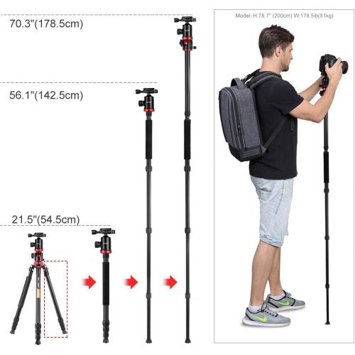  [아마존베스트]Carbon Tripod K&F Concept Tripod Camera, Carbon Fibre Tripod, Travel Tripod, Tripod With 3D Ball Head, Quick Release Plate And Mono-Pod Function For Canon, Nikon, Sony