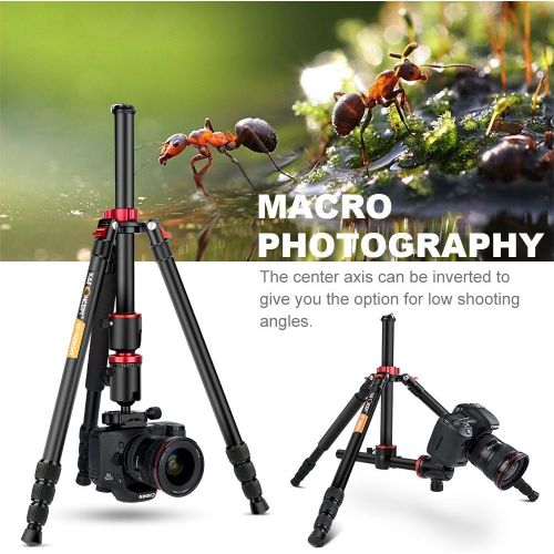  [아마존베스트]Carbon Tripod K&F Concept Tripod Camera, Carbon Fibre Tripod, Travel Tripod, Tripod With 3D Ball Head, Quick Release Plate And Mono-Pod Function For Canon, Nikon, Sony