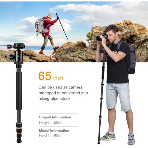  [아마존베스트]K&F Concept TC2534 Carbon Fibre Tripod with Monopod, 66 Inch Professional Carbon Tripod, Load Capacity 12 kg, Camera Tripod for DSLR, Canon, Nikon, Simga, Tamron, Sony Cameras