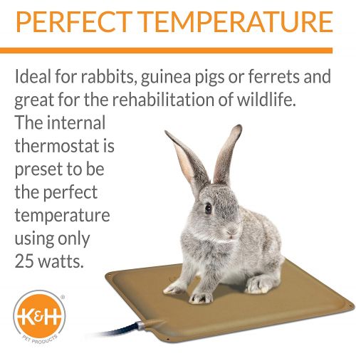 K&H PET PRODUCTS Thermo-Peep Heated Pad