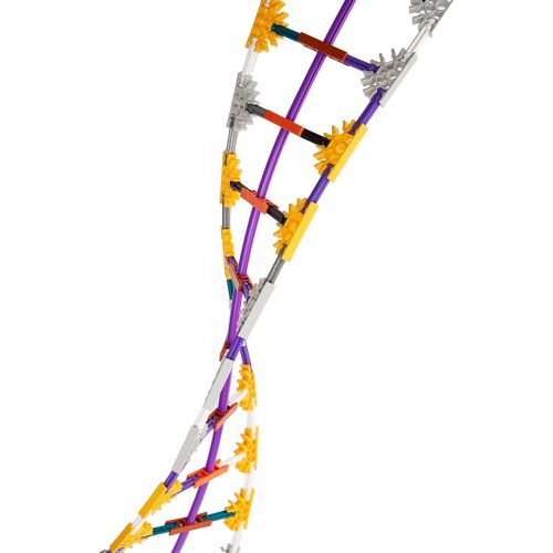  K’NEX Education  DNA Replication and Transcription Set  525 Pieces  Ages 10+ Science Educational Toy