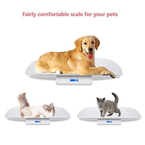  KEDSUM 2-in-1 Digital Baby Scale,Multi-Function Pet Scale, with Weight(Max:220lb) and Height Track...