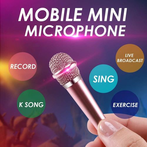  KICOSOADT Mini Microphone,Tiny Microphone, Portable Microphone/Instrument Microphone for Man/Pet Voice Recording Shouting and Sing,with Mic Stand and Box (Silver)