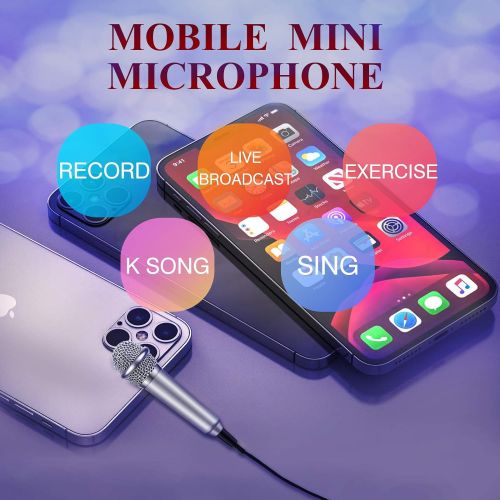  KICOSOADT Mini Microphone,Tiny Microphone, Portable Microphone/Instrument Microphone for Man/Pet Voice Recording Shouting and Sing,with Mic Stand and Box (Silver)