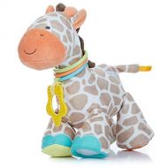 KIDS PREFERRED Developmental Giraffe Rattle Clip for Babies