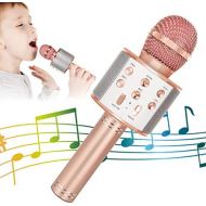 KIDWILL Wireless Bluetooth Karaoke Microphone for Kids, 5-in-1 Portable Handheld Karaoke Mic Speaker Player Recorder with Adjustable Remix FM Radio for Kids Girls Boys Teens Birthday (Rose
