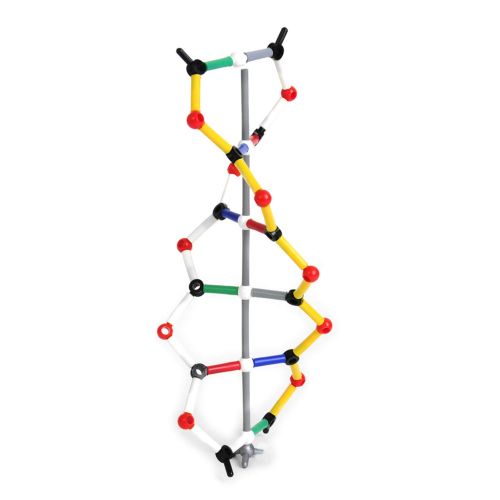 케이넥스 KNEX American Educational DNA Model Kit (Pack of 12)