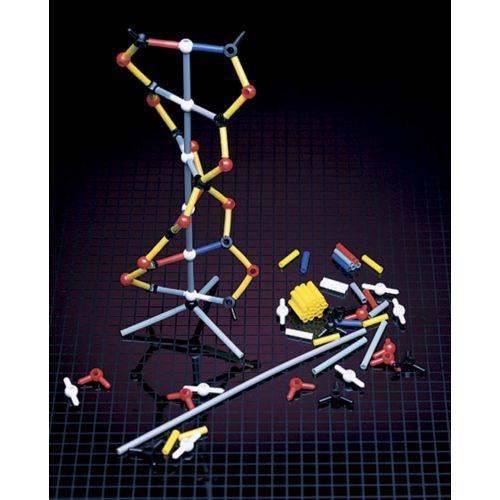 케이넥스 KNEX American Educational DNA Model Kit (Pack of 12)