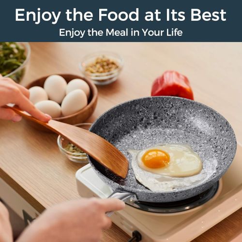  KOCH SYSTEME CS 11 Nonstick Frying Pan-Granite Skillet with Lid, Fry Pan with APEO and PFOA-Free Stone Derived Coating, Aluminum Alloy Pan, Oven Safe
