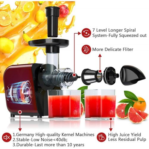  [Upgraded] KOIOS Juicing Machine, 2021 Masticating Slow Juicer Extractor, Cold Press Juicer with Quiet Motor & High Juice Yield, E-Recipes for Vegetables and Fruits, Easy to Clean