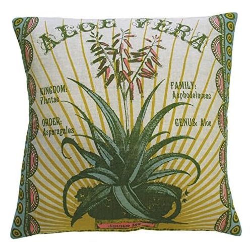 Unknown Koko Botanica Aloe Vera Print Linen Pillow, 20 by 20-Inch