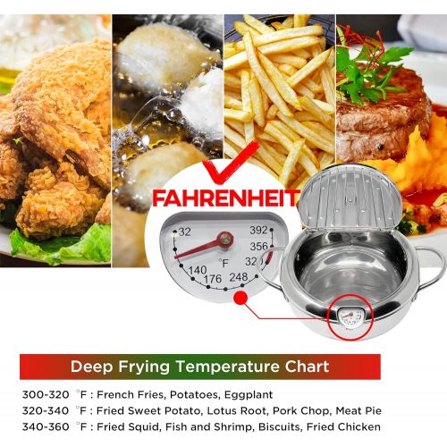  KOMONG Deep Fryer Pot (°F), Japanese Tempura Small Deep Frying Pot with Fahrenheit Thermometer, 304 Stainless Steel Deep Fryer with Oil Draining Rack for Tempura chips, Fries, Fish