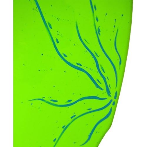  Funky Fish Skimboard for Kids and Adults