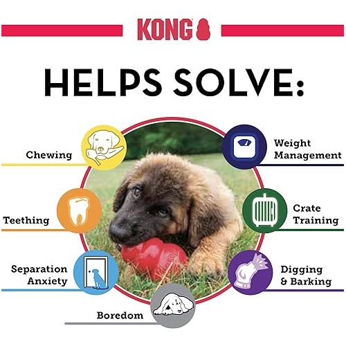  KONG Classic Stuffable Dog Toy - Fetch & Chew Toy for Dogs - Treat-Filling Capabilities & Erratic Bounce for Extended Play Time - Durable Natural Rubber Material - for Medium Dogs