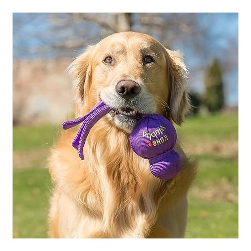  KONG Wubba - Dog Toy for Tug of War & Fetch - Dog Supplies for Puppy & Dog Playtime - Outdoor & Indoor Dog Toy - for XL Dogs