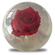 KR Strikeforce KR Clear Red Rose Bowling Ball- 14lbs