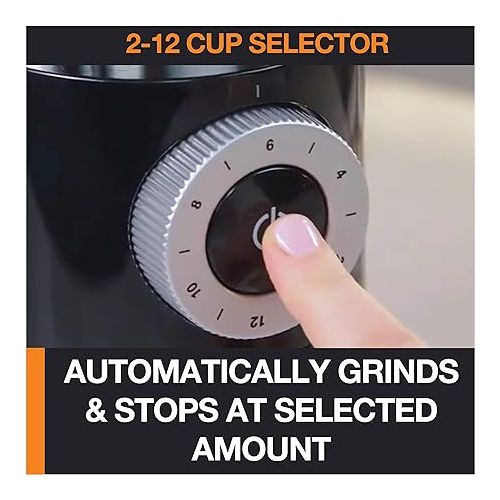  Krups Precise Stainless Steel Flat Burr Grinder 8oz, 32cups bean hopper 12 Grind from Fine to Coarse 110 Watts Removable Container, Drip, Press, Espresso, Cold Brew, 2,12 cups ground coffee Black