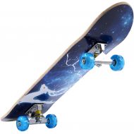 KST Skateboard, 31 X 8in Complete Standard Skate Boards for Girls Boys Beginner, 7 Layer Maple Double Kick Concave Skateboards for Kids Youth Adult Teens