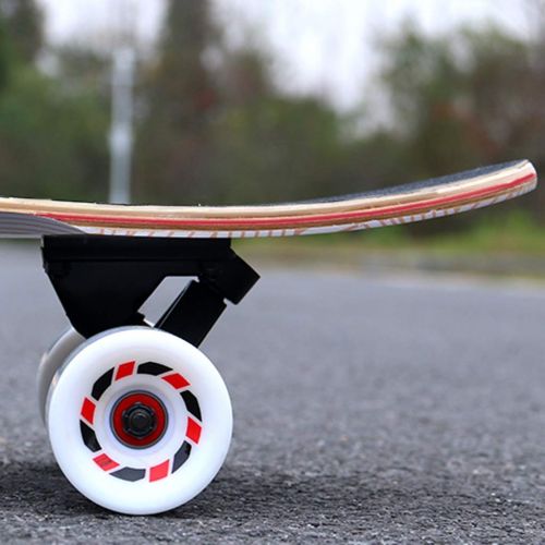  KYCD Double Kick Skill Skateboard Maple Deck Cruiser Geeignet fuer Anfaenger und Jugendliche