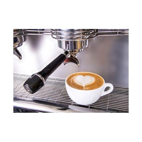  KaiserRein professional KaiserRein Milchschaum-Reiniger Kaffeevollautomat und Kaffeemaschine Konzentrat bis zu 66 Anwendungen 1 L Fluessig Reiniger fuer Milchsystem & Milchleitung