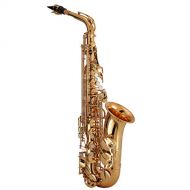Kaizer Alto Saxophone E Flat Eb Intermediate Gold Lacquer Includes Case Mouthpiece and Accessories ASAX-3000LQ