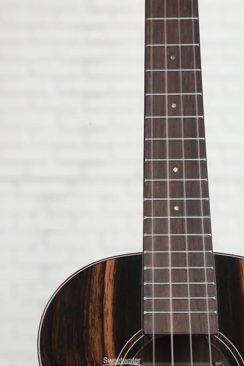  Kala KA-PX-EBY-T Premier Tenor Ukulele - Exotic Ebony Demo