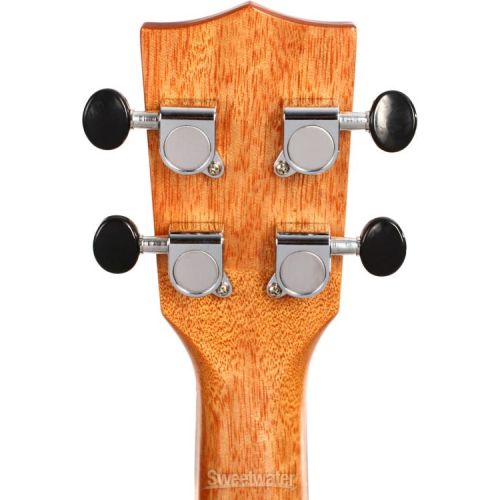  Kala KA-ZCT-C Concert Ukulele - Ziricote